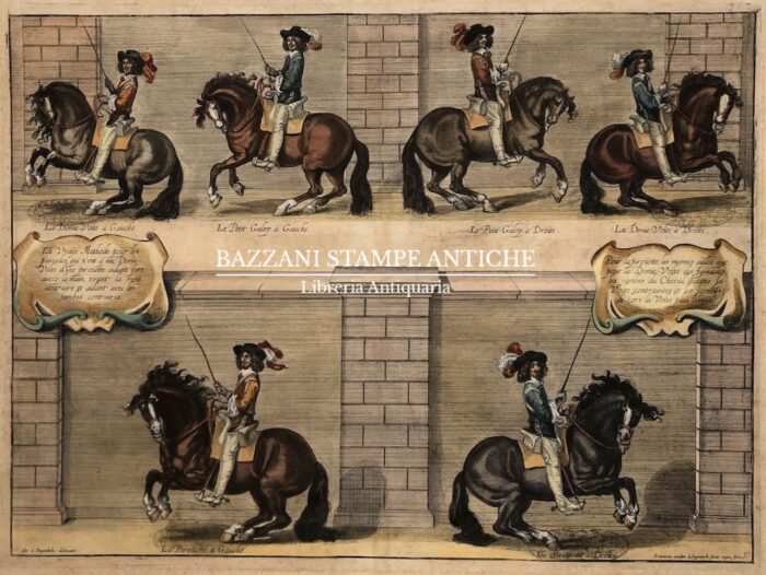 DRESSAGE