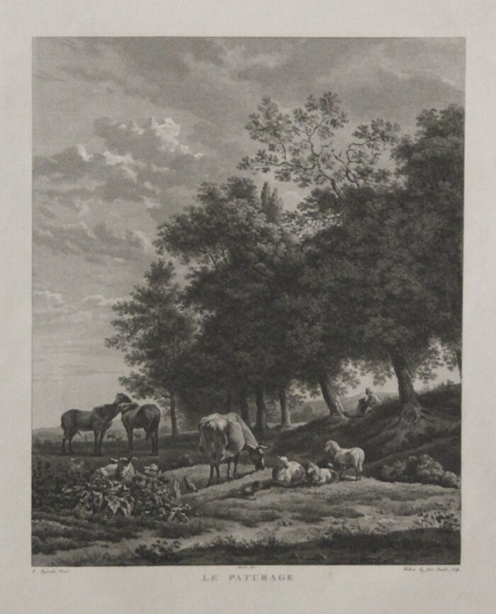 PAESAGGIO - LE PATURAGE