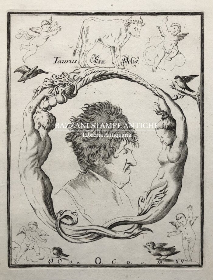 LETTERA "O"