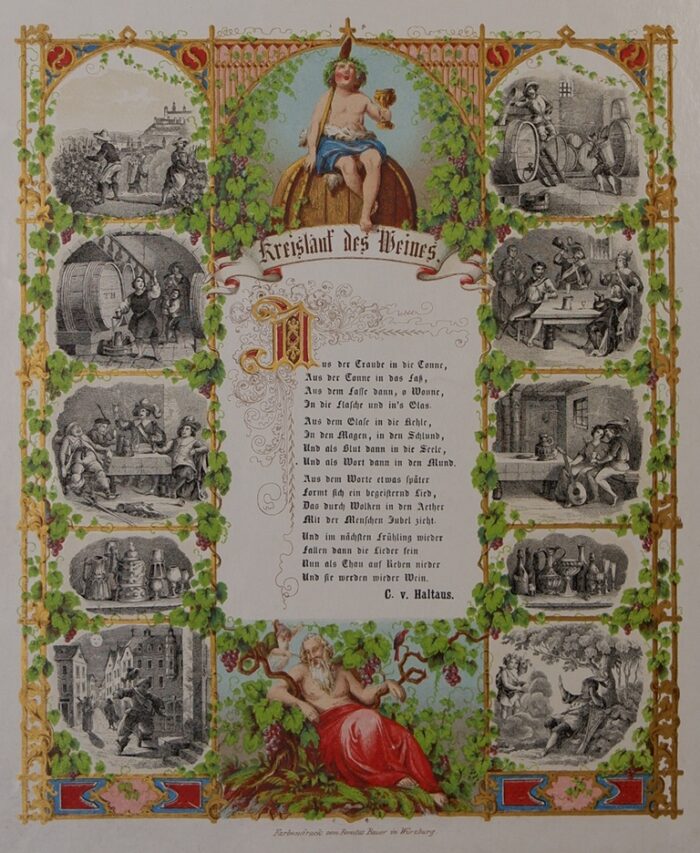 IL CICLO DEL VINO