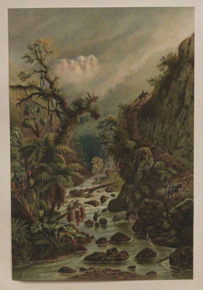 CORDIGLIERA BIANCA - VENEZUELA