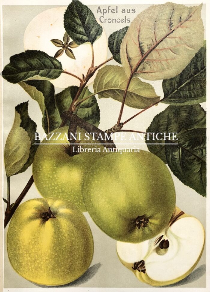 MELE - APFEL AUS CRONCELS