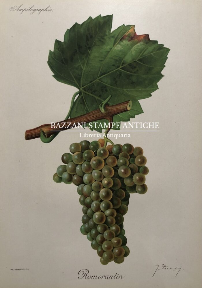 ROMORANTIN