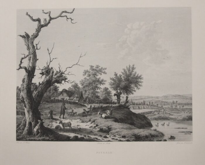 PAYSAGE