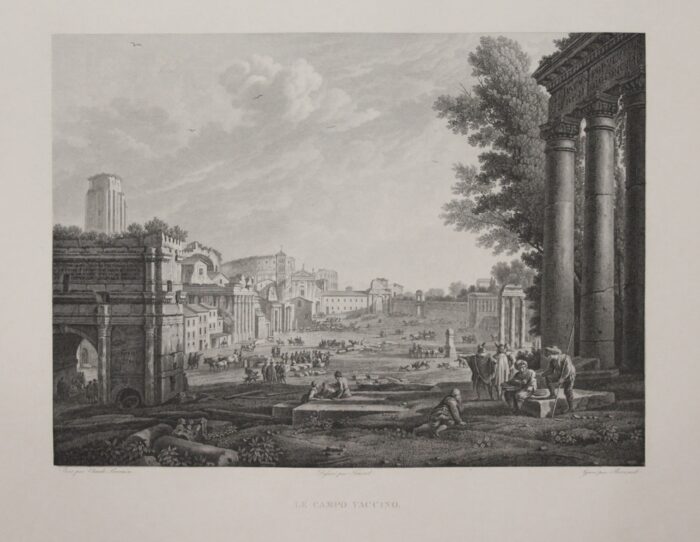 LE CAMPO VACCINO