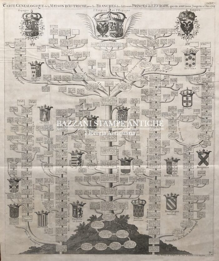 CARTE GENEALOGIQUE DE LA MAISON D'AUTRICHE