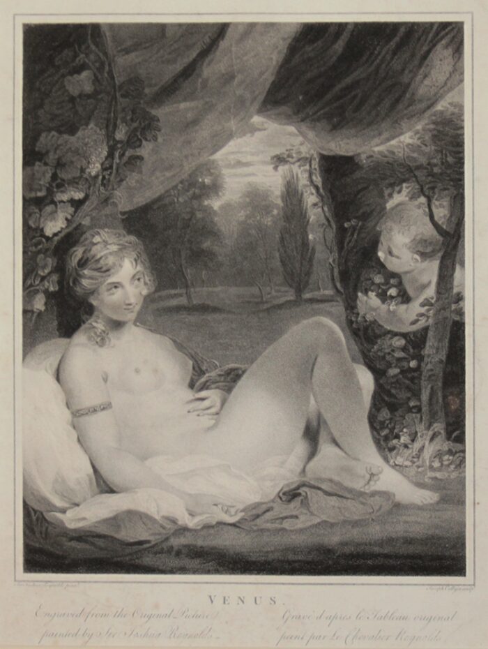 VENUS - VENERE