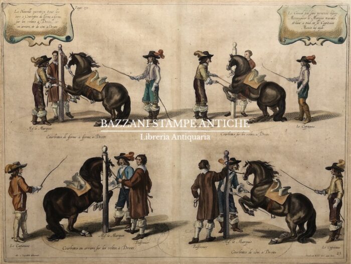DRESSAGE