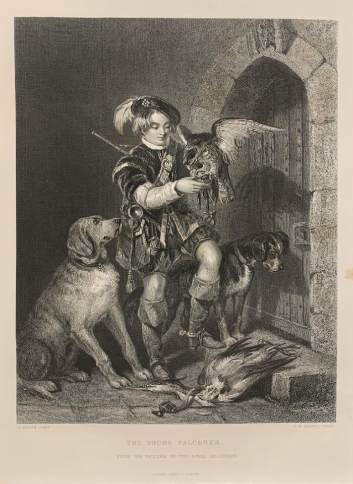 IL GIOVANE FALCONIERE - THE YOUNG FALCONER
