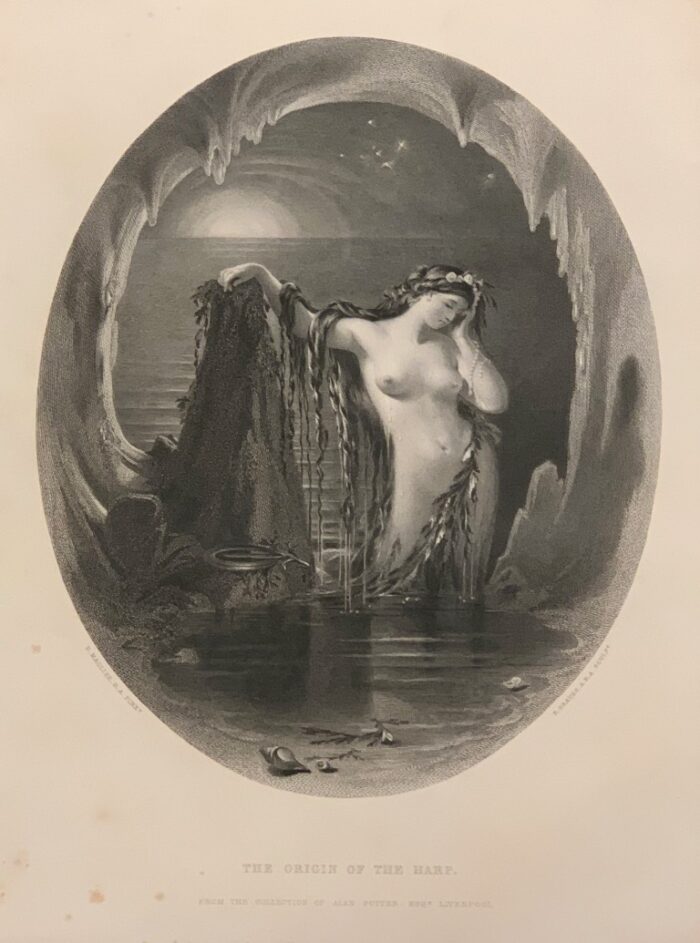 THE ORIGIN OF THE HARP - L'ORIGINE DELL'ARPA