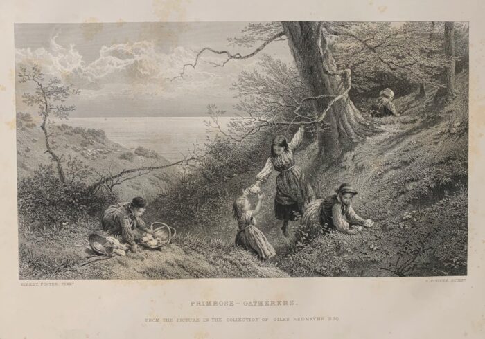 LA RACCOLTA DELLE PRIMULE - PRIMROSE GATHERERS