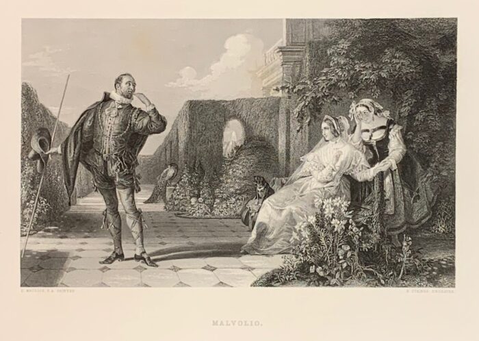 IL CORTEGGIAMENTO - MALVOLIO