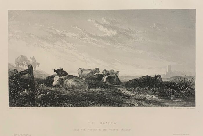 IL PASCOLO - THE MEADOW