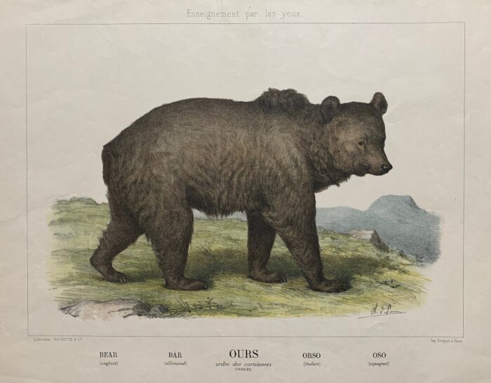 ORSO