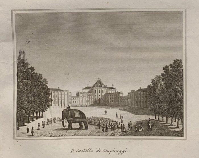 STUPINIGI (TORINO) - R. CASTELLO