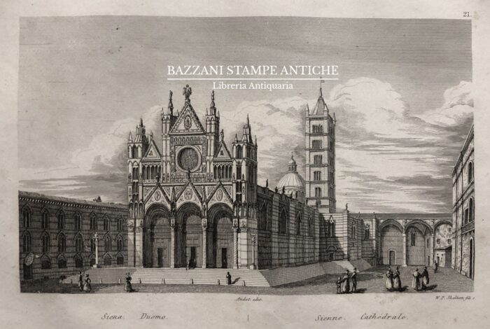 SIENA - DUOMO