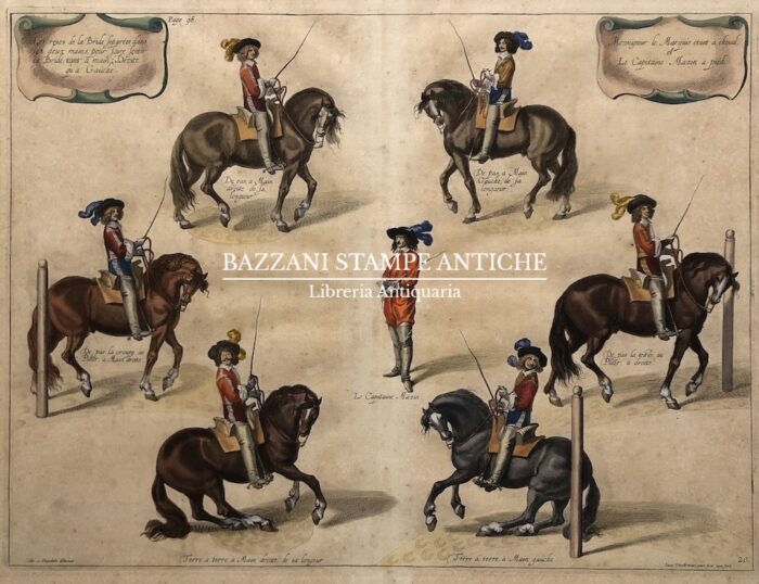 DRESSAGE