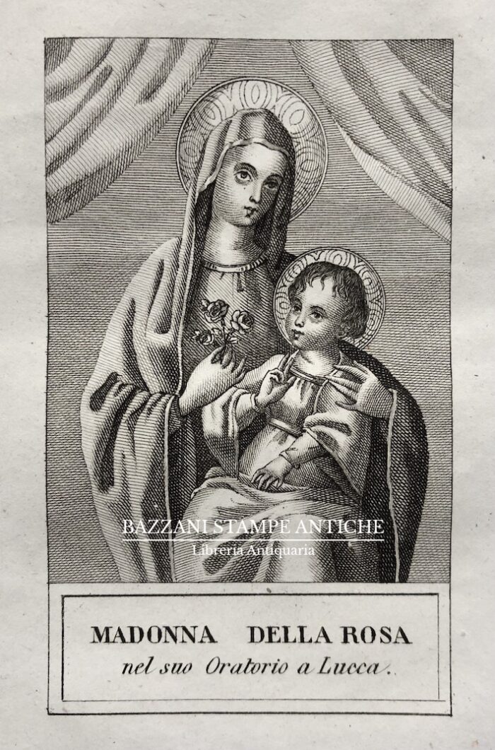 MADONNA DELLA ROSA (LUCCA)