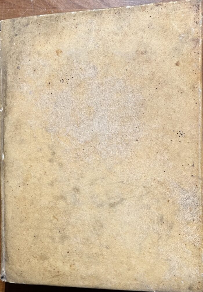 SEGNERI, PAOLO - immagine 2