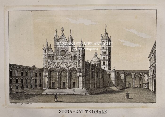 SIENA