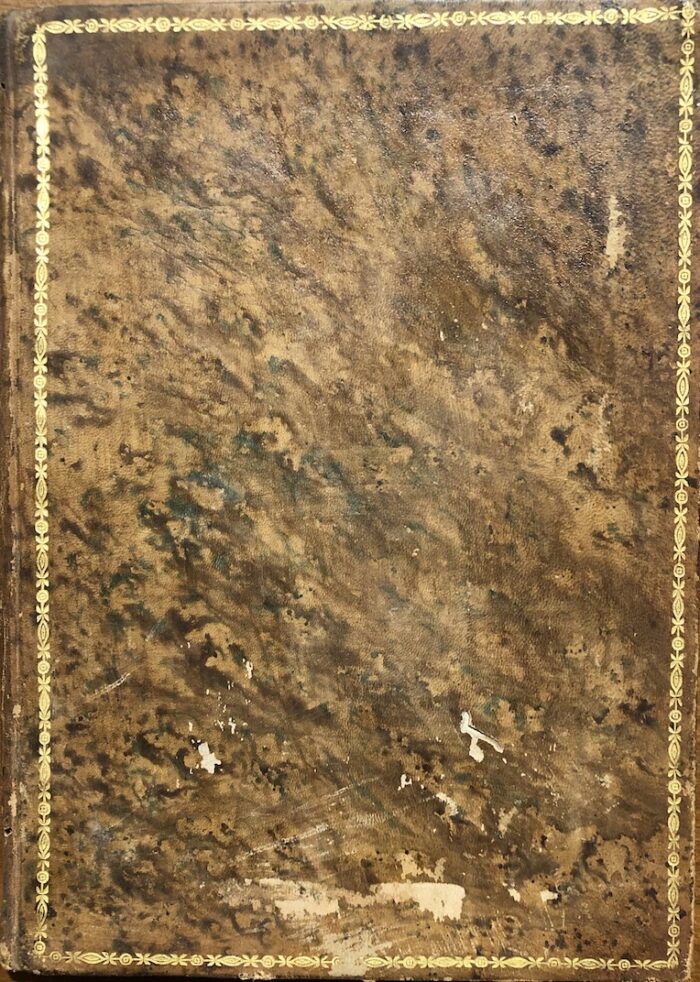 LEONARDI, PIETRO - immagine 2