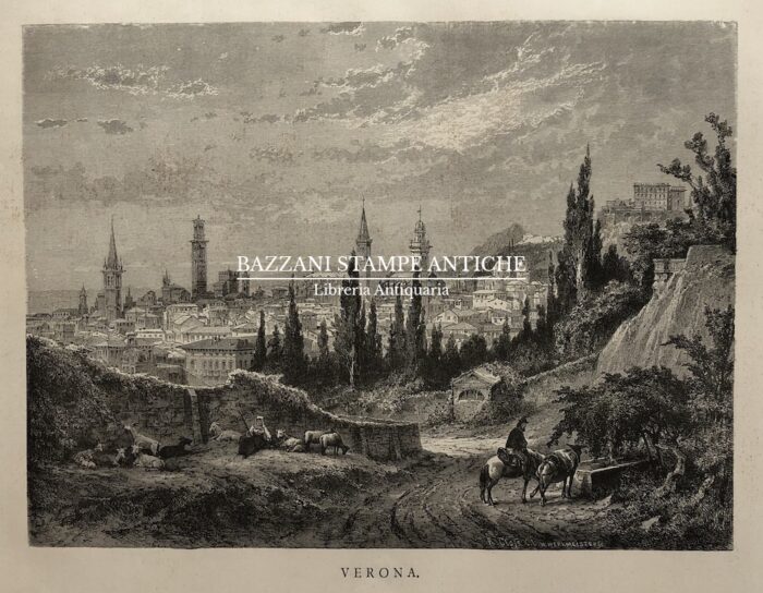 VERONA