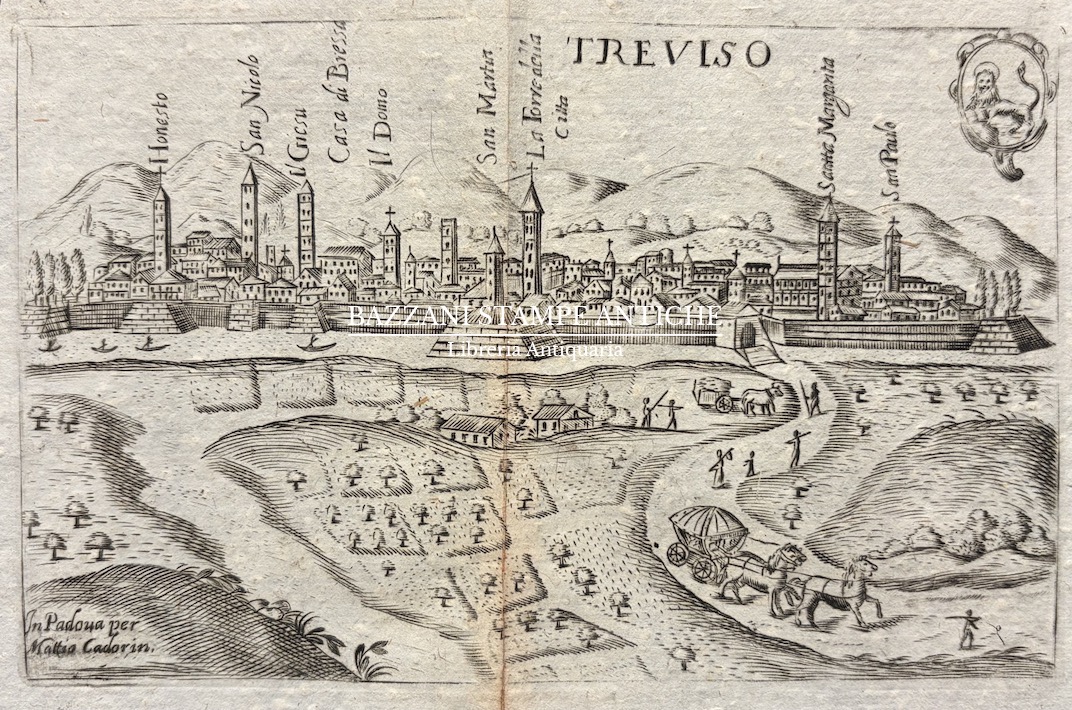 TREVISO