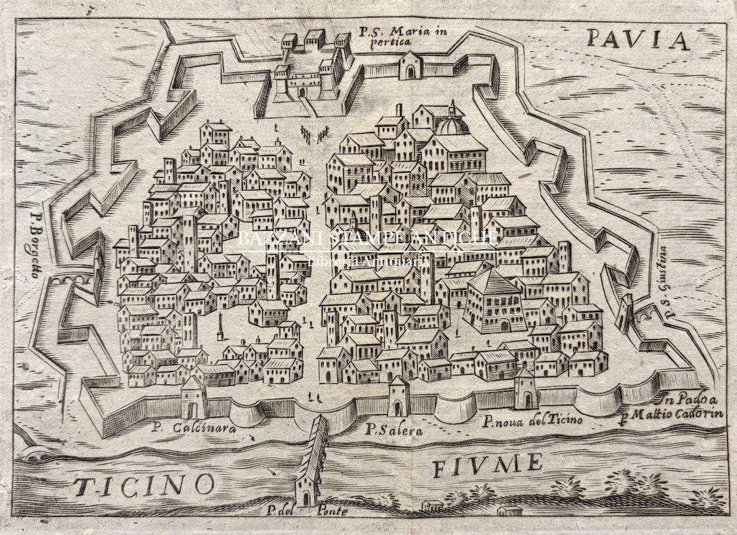 PAVIA